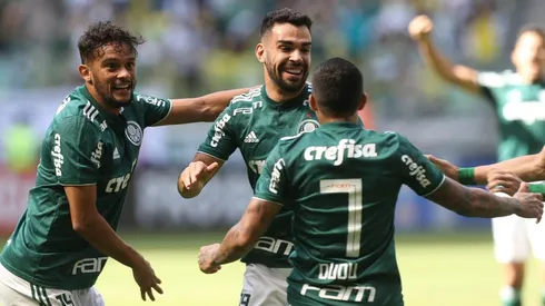 Divulgação Palmeiras