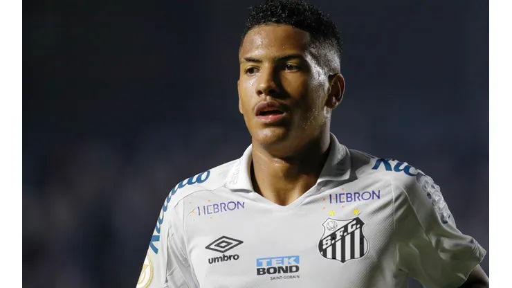 Santos v Flamengo - Brasileirao 2022
