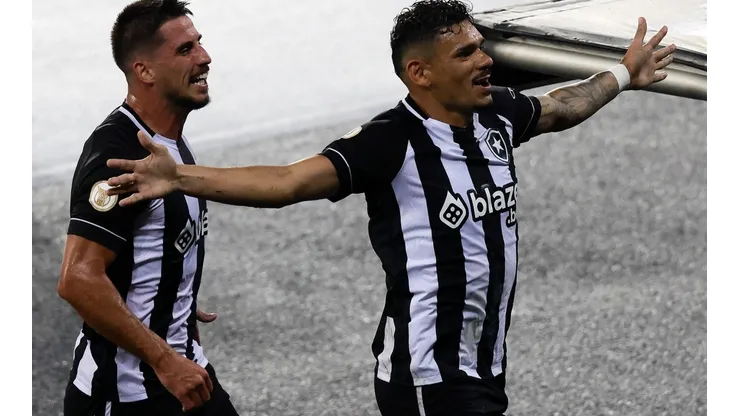 Botafogo v Palmeiras - Brasileirao 2022