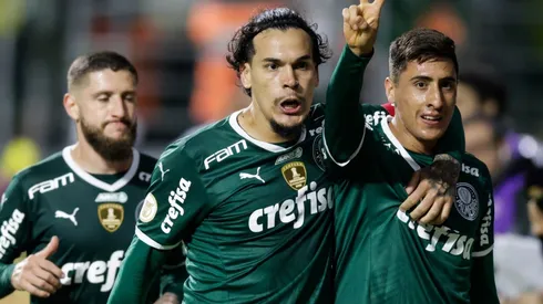 Palmeiras v Santos - Brasileirao 2022