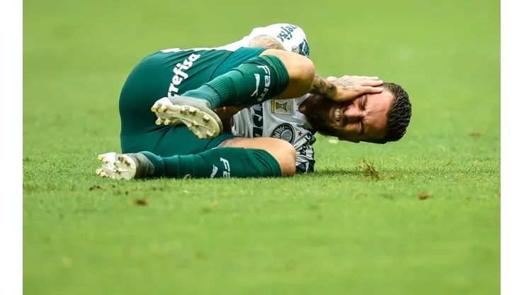 Cruzeiro v Palmeiras - Brasileirao Series A 2019