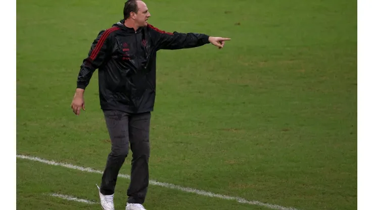 Flamengo v Palmeiras - Brasileirao 2021