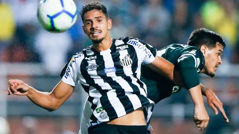 Palmeiras v Santos - Brasileirao Series A 2019