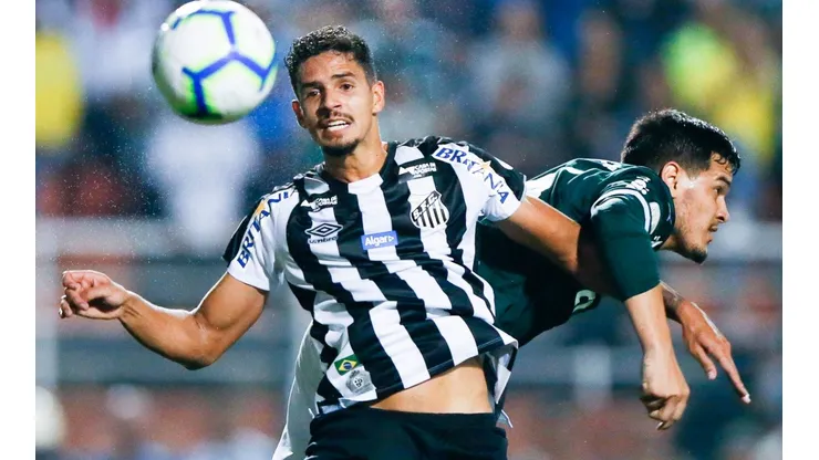 Palmeiras v Santos - Brasileirao Series A 2019