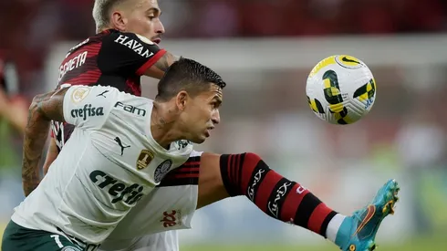 Flamengo v Palmeiras - Brasileirao 2022