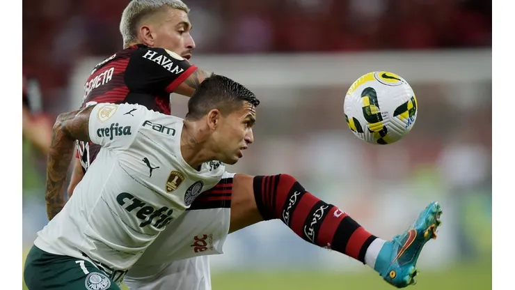 Flamengo v Palmeiras - Brasileirao 2022