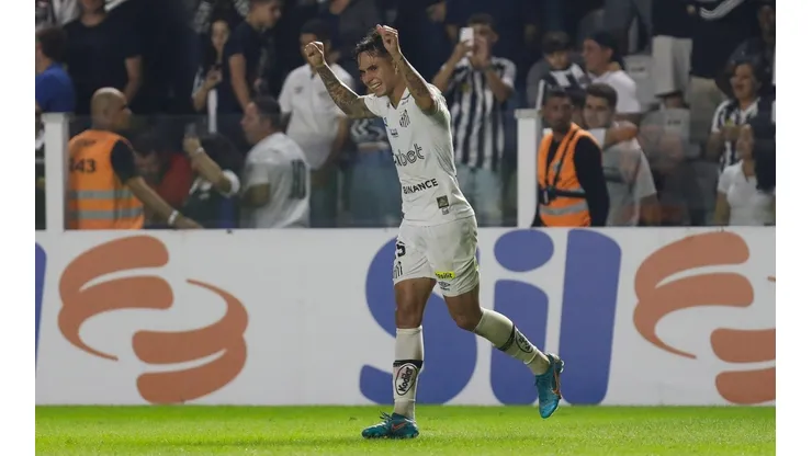 Santos v Flamengo - Brasileirao 2022