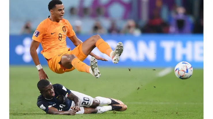 Netherlands v Ecuador: Group A - FIFA World Cup Qatar 2022