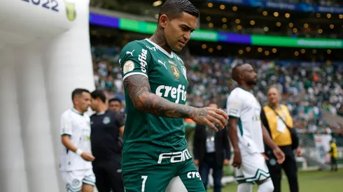 Palmeiras v Goias - Brasileirao 2022