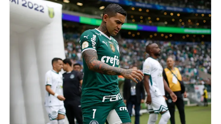 Palmeiras v Goias - Brasileirao 2022