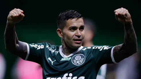 Palmeiras v Fortaleza – Brasileirao 2022