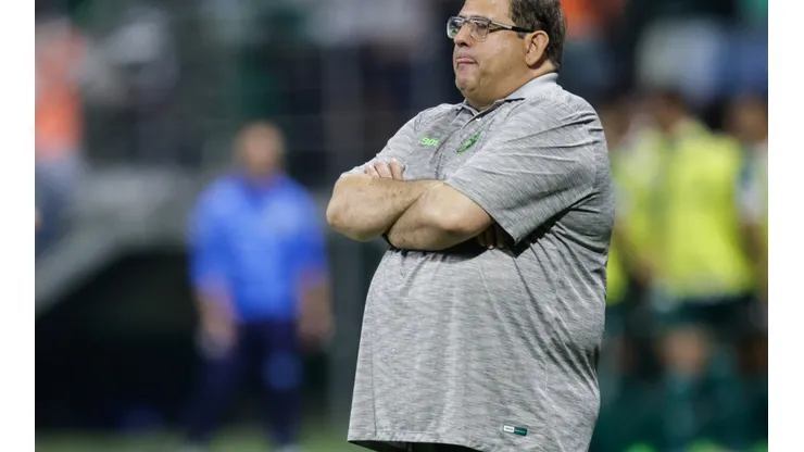 Palmeiras v Coritiba - Brasileirao 2022