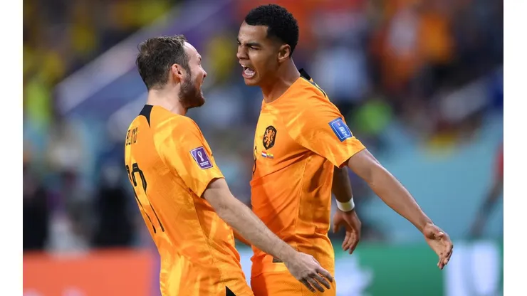 Netherlands v Ecuador: Group A - FIFA World Cup Qatar 2022