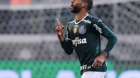 Palmeiras v Botafogo - Brasileirao 2022