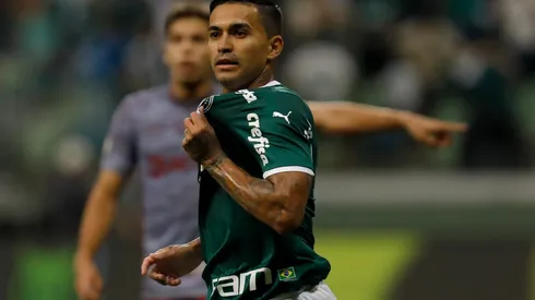 Palmeiras v Fluminense – Brasileirao 2022