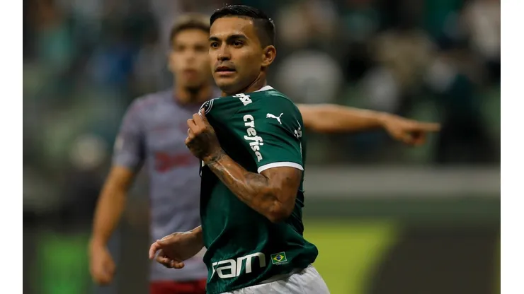 Palmeiras v Fluminense - Brasileirao 2022