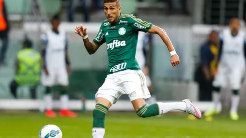 Rafael Marques, atacante do Palmeiras (Foto: Getty Images)