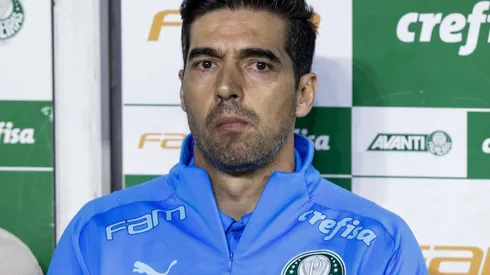 Palmeiras v Avai – Brasileirao 2022