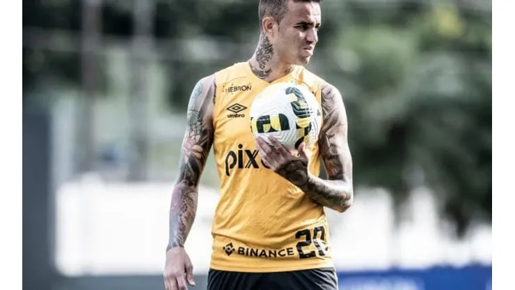 © Ivan Storti/Santos FC