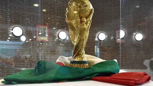 TURIN, ITALY - MARCH 30: The FIFA World Cup Trophy is displayed during an exhibition of Italian Football Federation Trophies and Memorabilia at Istituto Oncologico di Candiolo on March 30, 2015 in Turin, Italy. (Photo by Valerio Pennicino/Getty Images)