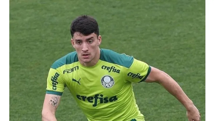 DIVULGAÇÃO/AGÊNCIA PALMEIRAS