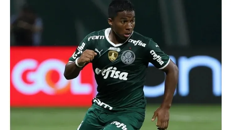 Cesar Greco/Palmeiras