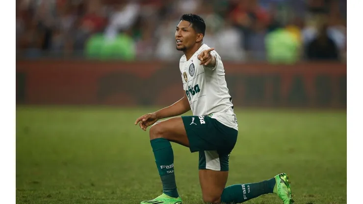 Fluminense v Palmeiras - Brasileirao 2022