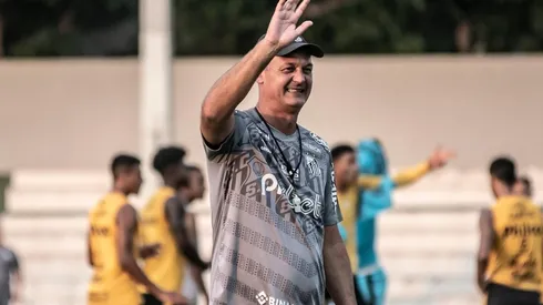 Lisca pode ser o novo técnico do Avaí (Foto: Ivan Storti/Santos FC)