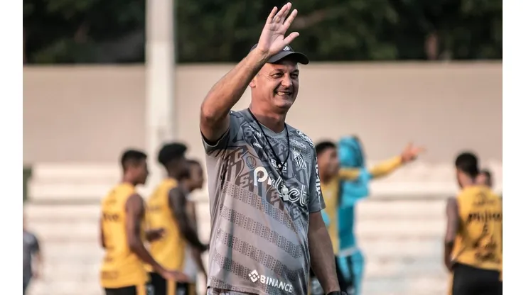 Lisca pode ser o novo técnico do Avaí (Foto: Ivan Storti/Santos FC)