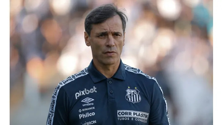 Santos v Palmeiras - Brasileirao 2022