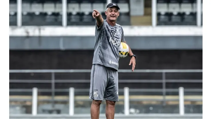 Lisca conta que é fã do técnico Fernando Diniz, do Fluminense (Foto: Ivan Storti/Santos FC)
