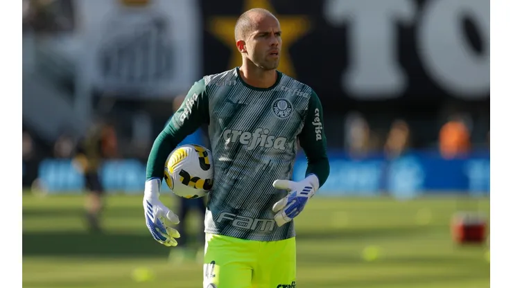 Santos v Palmeiras - Brasileirao 2022