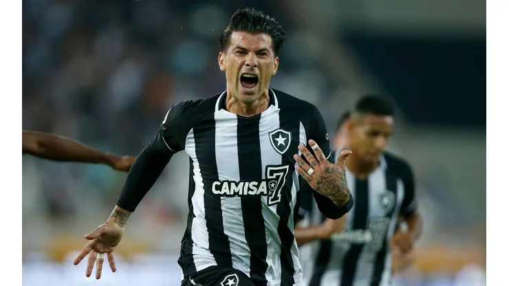 Botafogo v Goias - Brasileirao 2022