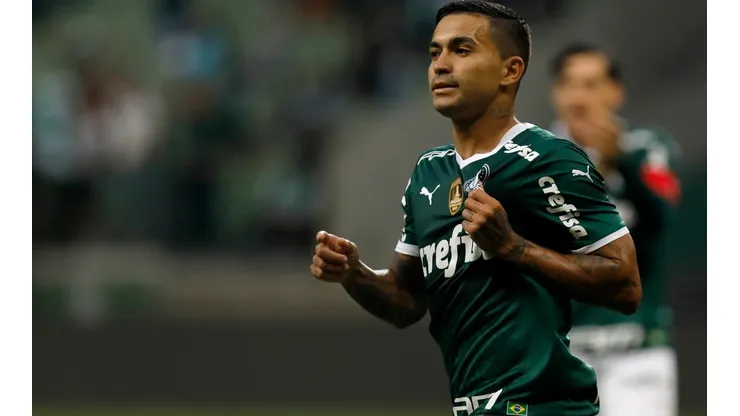 Palmeiras v Fluminense - Brasileirao 2022