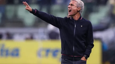 Palmeiras v Botafogo - Brasileirao 2022