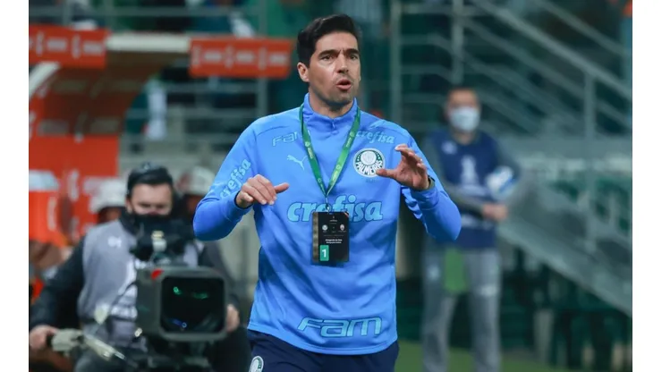 Goleiro chegou e vem sendo importante para Abel Ferreira (Foto: Marcello Zambrana/AGIF)