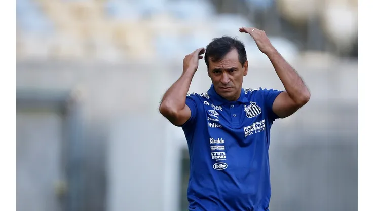 Fluminense v Santos - Brasileirao 2022