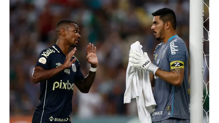 Fluminense v Santos - Brasileirao 2022