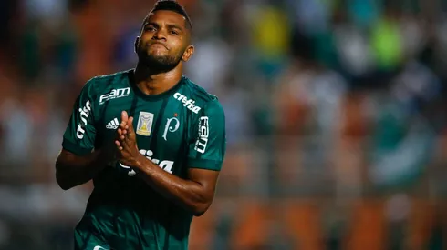 Palmeiras v Ponte Preta – Brasileirao Series A 2017