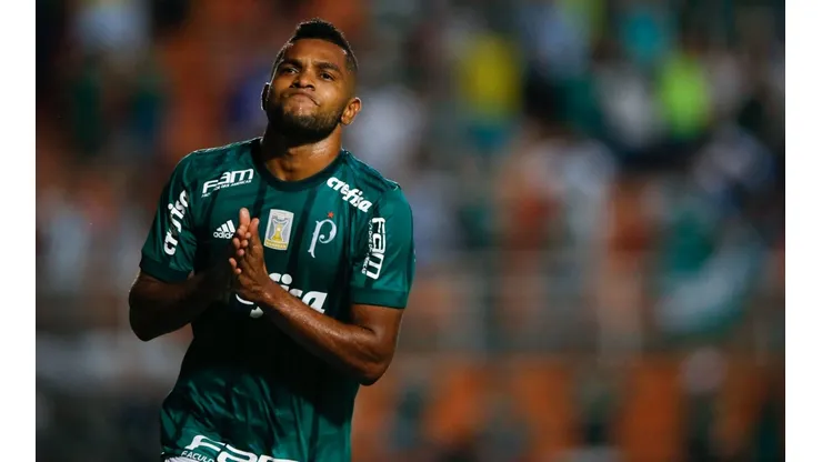 Palmeiras v Ponte Preta - Brasileirao Series A 2017