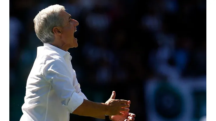 Luís Castro falou sobre o processo de evolução do Botafogo (Foto: Vitor Silva/Botafogo)