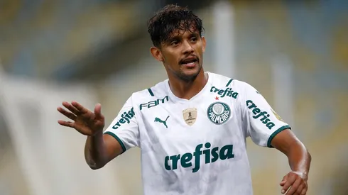 Fluminense v Palmeiras - Brasileirao 2021