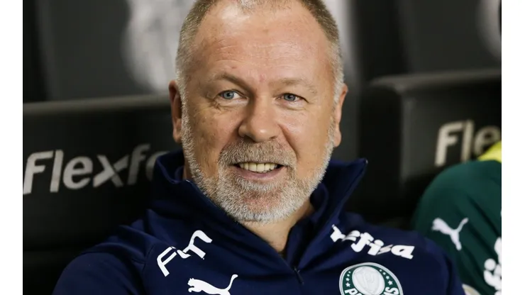 Santos v Palmeiras - Brasileirao Series A 2019