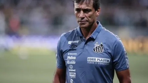 © Ettore Chiereguini/AGIFTécnico Fabián Bustos, do Santos, aprovou nomes cogitados pela diretoria