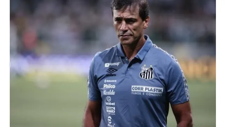 © Ettore Chiereguini/AGIFTécnico Fabián Bustos, do Santos, aprovou nomes cogitados pela diretoria