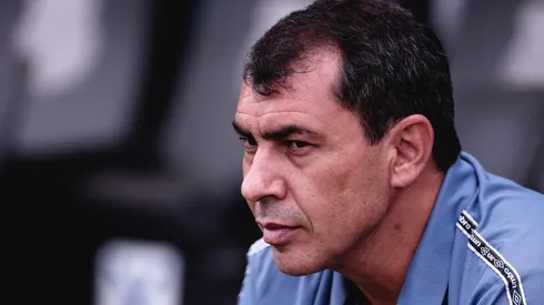 Carille não é mais o técnico do Santos (Foto: Ettore Chiereguini/AGIF)