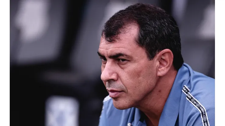 Carille não é mais o técnico do Santos (Foto: Ettore Chiereguini/AGIF)