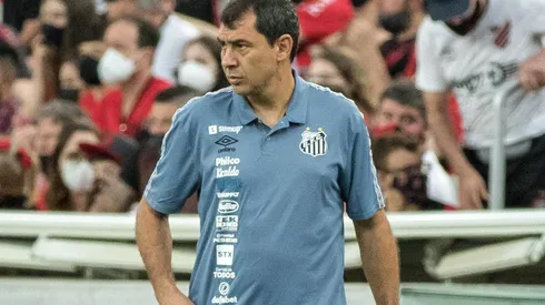 Fábio Carille, treinador do Santos (Foto: Robson Mafra/AGIF)