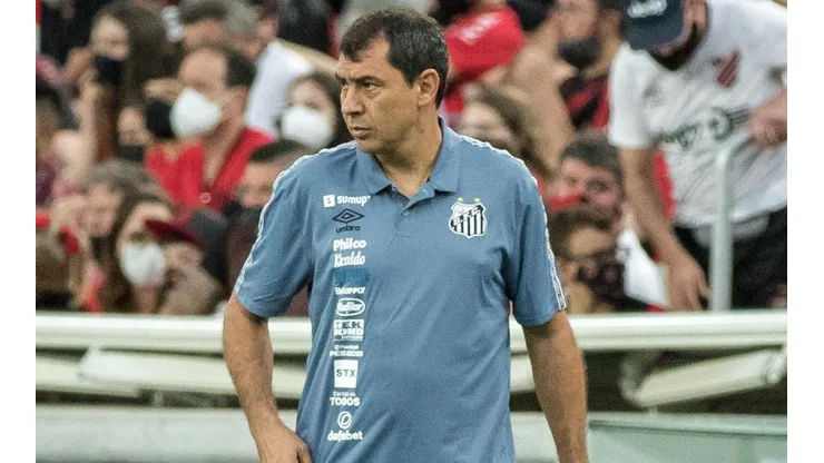 Fábio Carille, treinador do Santos (Foto: Robson Mafra/AGIF)