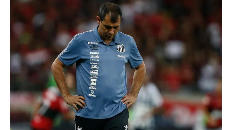 Fábio Carille, treinador do Santos (Foto: Getty Images)